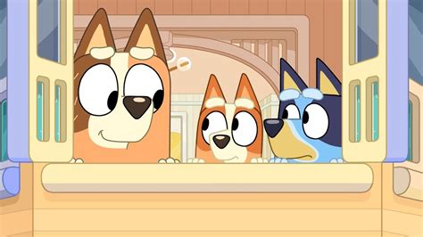 Bluey New Episodes Abc Iview