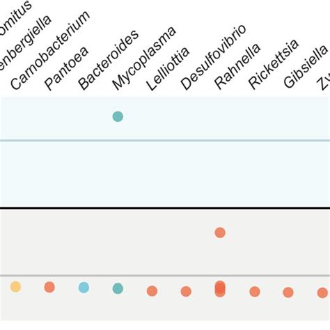 Differentially Abundant Amplicon Sequence Variants Asvs Between