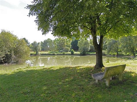 Etang Communal Mairie De Faverolles Et Coemy