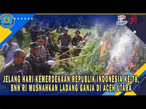 JELANG HARI KEMERDEKAAN REPUBLIK INDONESIA BNN RI MUSNAHKAN LADANG