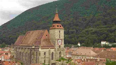 Private Tour Of Brasov And Libearty Bear Sanctuary Zarnesti Trip