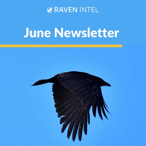 June Newsletter 2020 - Raven Intelligence