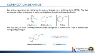 Aminas Quimica Organica Para Ingenieros Quimios PPT