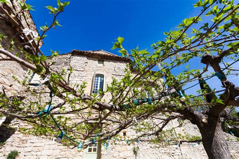 La Roque sur Cèze Plus Beaux Villages du Gard