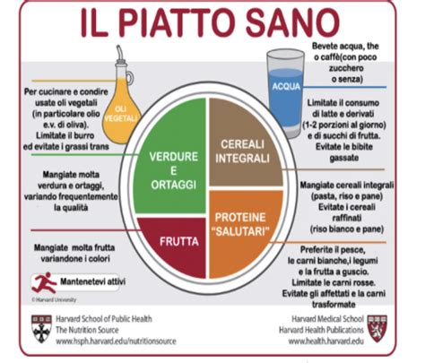 PIATTO SANO HARVARD 3goodnews