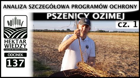 ANALIZA SZCZEGÓŁOWA PROGRAMÓW OCHRONY PSZENICY OZIMEJ ODCINEK 137