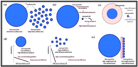 Properties Of Nanoparticles A Increased Rate Of Dissolution B