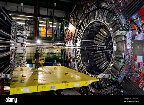 large hadron collider lhc detector    cms compact muon