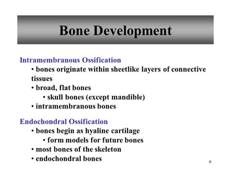 Which Of These Forms By Intramembranous Bone Formation Karmakruwserrano