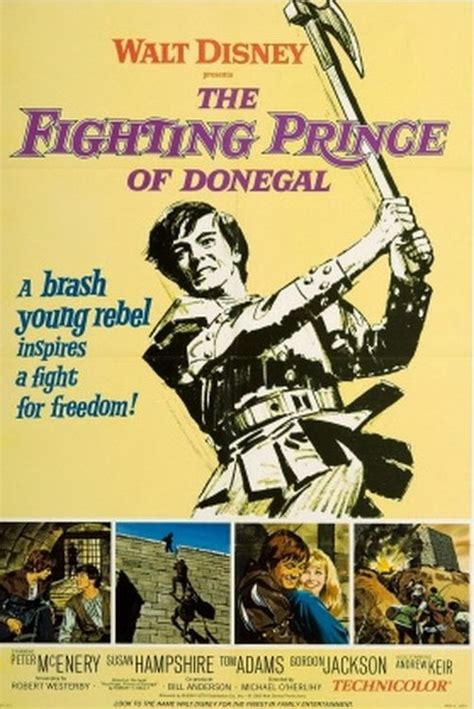 The Fighting Prince Of Donegal