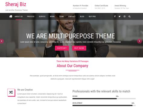 Sheraj Biz Free Business Wordpress Theme Freebie Supply