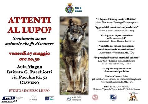 GIAVENO UNA SERATA PER CONOSCERE MEGLIO IL LUPO YouReporter