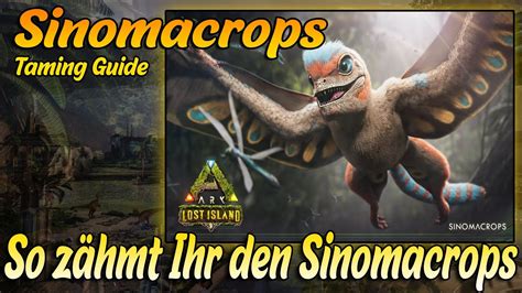 Ark Sinomacrops Z Hmen F Ttern Z Chten So Gehts