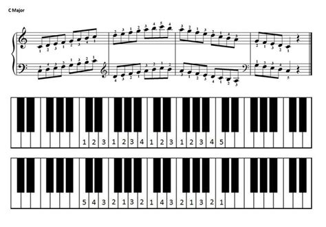 Piano Tips For Beginning With C Major Scale Piano Piano Scales Learn Piano