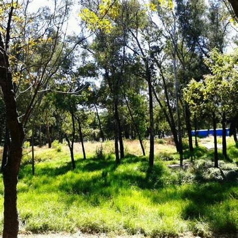 Fotos En Reserva Ecol Gica Del Pedregal De San Ngel Unam Rutas De