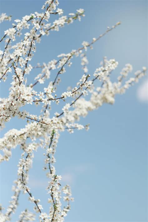 April Background Photos, Download The BEST Free April Background Stock ...