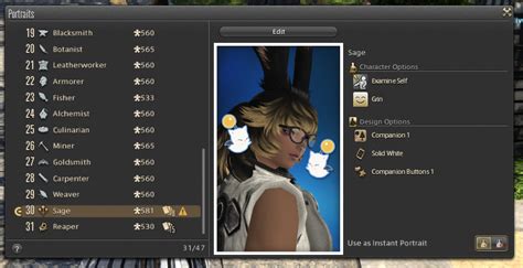 Ffxiv Adventurer Plate And Portrait Guide