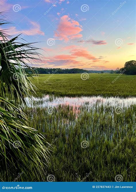 Salt Marsh at Fripp Island at Sunrise Stock Image - Image of carolina