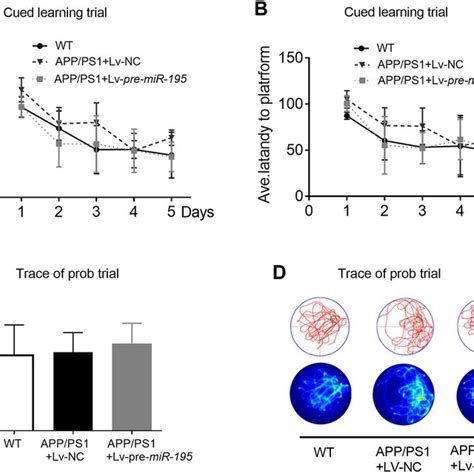 The Deposition Of A Plaques In The Brain Of App Ps Mice Are Rapidly