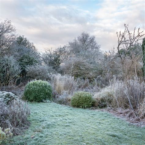 The Best Plant Covers For Winter To Protect From Frost Ideal Home