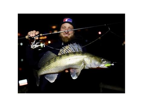 Pacote De Iscas Quantum Street B Ass Shad Worten Pt