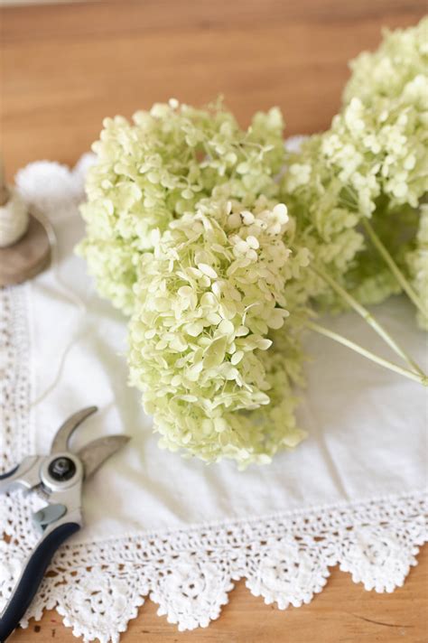 How to Dry Hydrangeas - The Rooted Farmhouse