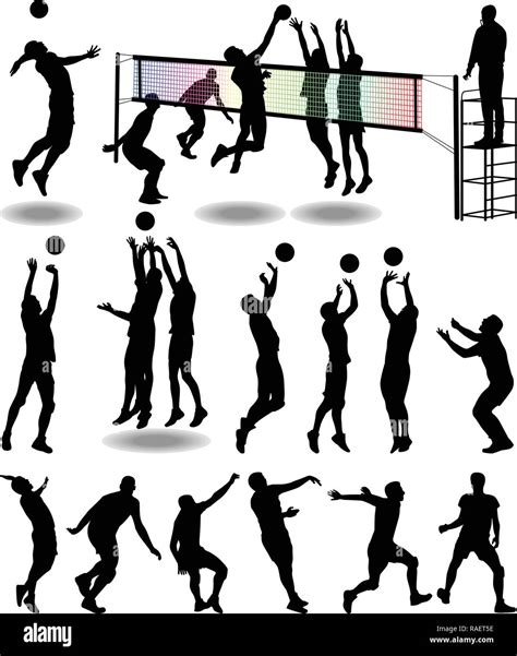 Colección De Jugador Del Voleibol En Diferentes Poses Imagen Vector De