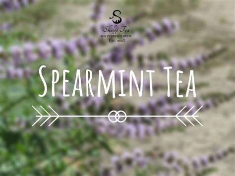 The Benefits And Side Effects Of Spearmint Tea Shelgo Tea