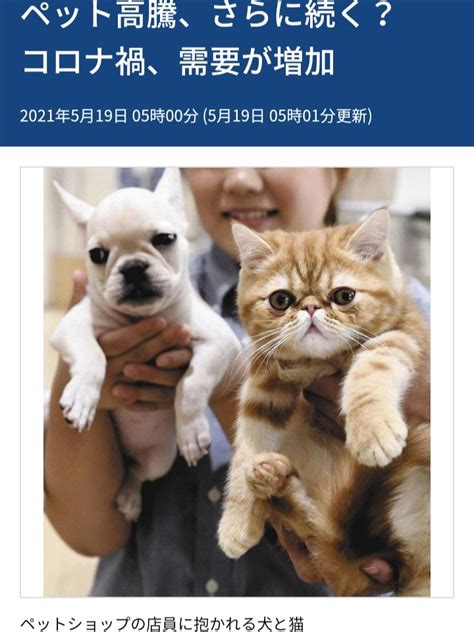 動物愛護法の改正、数値規制 サクラ＆toshi