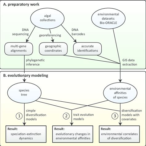 Generalized Workflow For Studying Evolutionary Dynamics Of Niches And