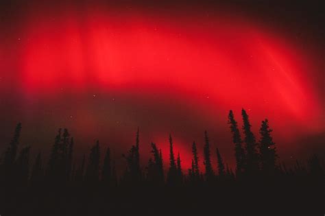 Red Aurora Borealis Photograph by Michael S. Quinton