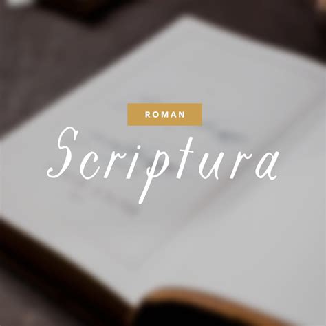 Scriptura Bibles — Calligraphy