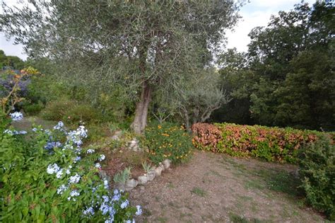 Biot House In Biot Provence Alpes Côte D azur France For Sale 13555735