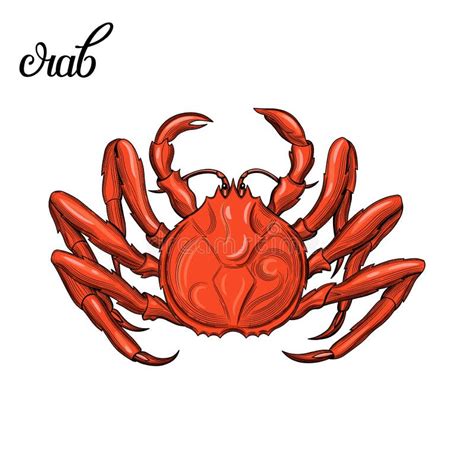 Crab Shrimp Lobster Seafood Stock Vector Illustration Of Oyster