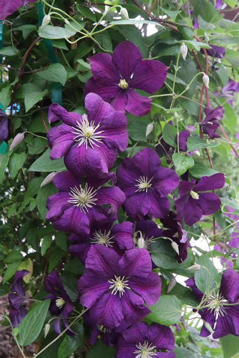 How the farm-to-table north fork table concept actually works 23