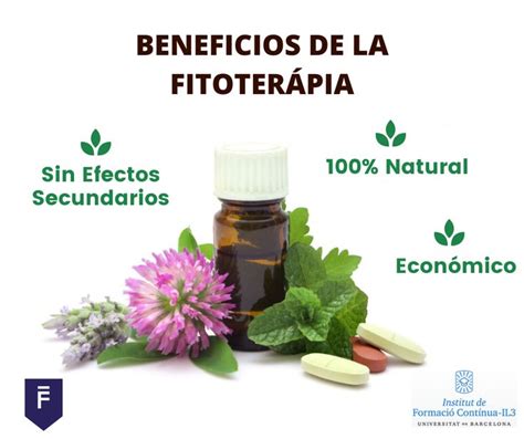 Beneficios De La Fitoterapia Fitoterapia Beneficios