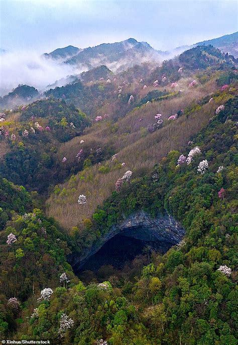 The Ancient Forest World Discovered More Than 600ft Below The Surface