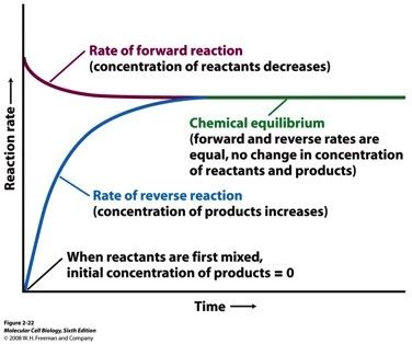 CHEM 122 Chemical Equilibrium Flashcards Quizlet