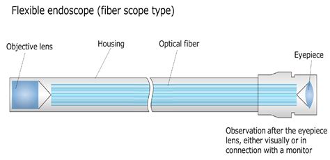 Composition And Role Of Lenses Used In Endoscopes Selfoc Products