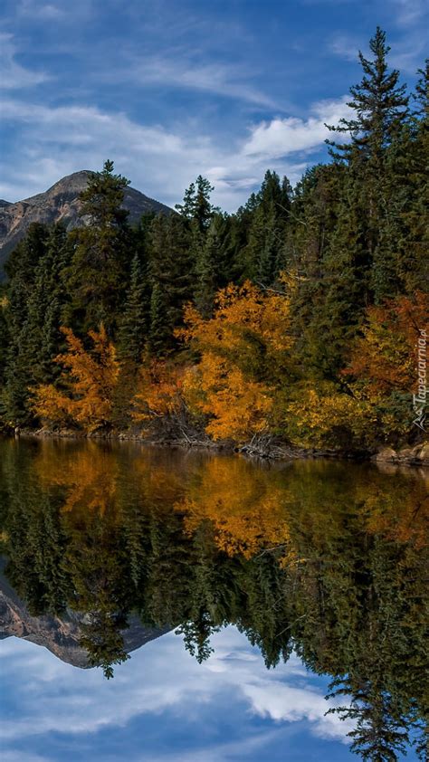 Odbicie gór i lasów w jeziorze Maligne Lake Tapeta na telefon