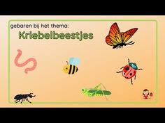 Idee N Over Insekten Ict In Insecten Thema Lieveheersbeestjes