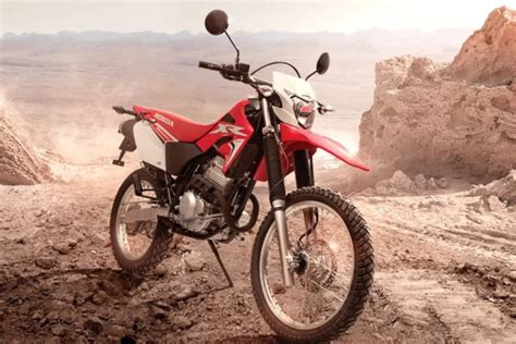 Cuánto Cuesta La Honda Tornado Xr250 En 2024 Nuevo Diario Web