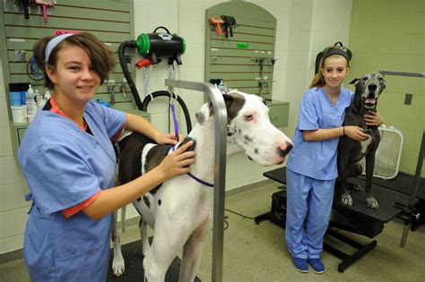 Great Oaks Animal Science High School Career Program Animal Science