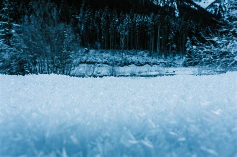 Premium Photo Frozen Trees On Field In Winter