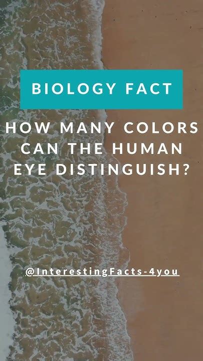 How Many Colors Can The Human Eye Distinguish Shorts Eyes Eyesight Biology Youtube