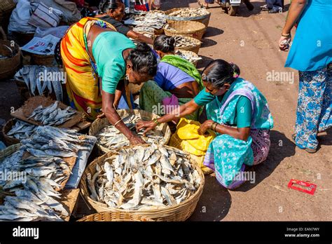 Women Selling Dried Fish Mapusa Friday Market Goa India Stock Photo