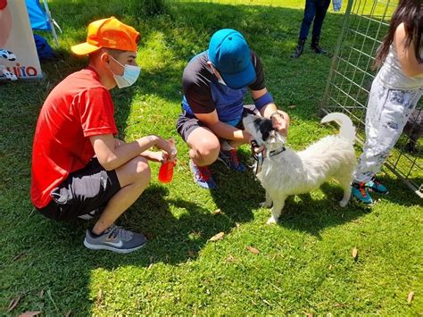 Urbanimal realiza jornadas de adopción responsable presenciales Quito