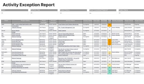 essential project activity reports birdview psa