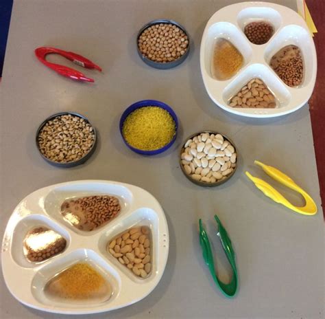 Fine Motor Sorting Activity