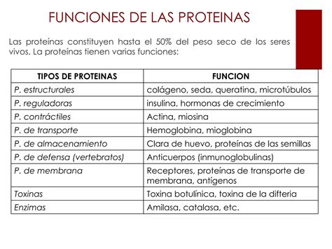 Aminoacidos Y Proteinas Ppt